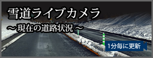 雪道ライブカメラ