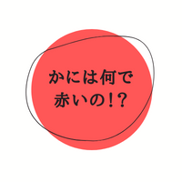 かには何で赤いの！？