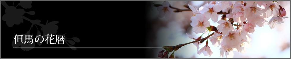但馬の花暦