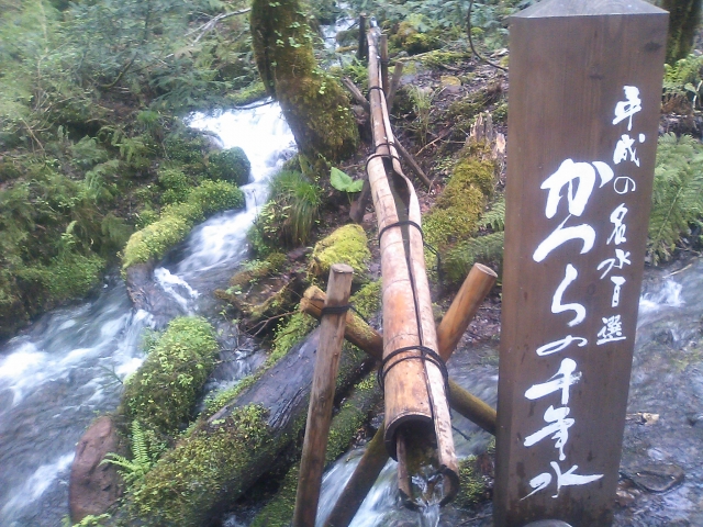 但馬高原植物園